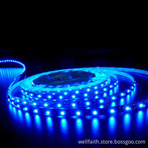 LED Copper Wire String Lights for Holiday